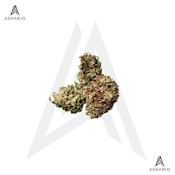 Panakeia Pure CBG | 3.5g