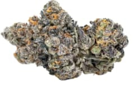 Sixty Seven Sins - Sixty Seven Sins - Gas Face 14g - Dried Flower