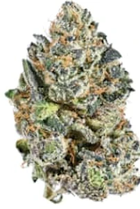 Tribal - Tribal - Galactic Rntz 3.5g - Dried Flower