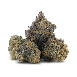 DEALR - ICED ZUCHI - 3.5