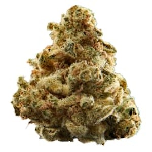 Versus - BC God Bud 3.5g Dried Flower
