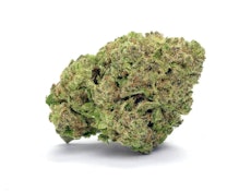 28g Hella Jella (Smalls)