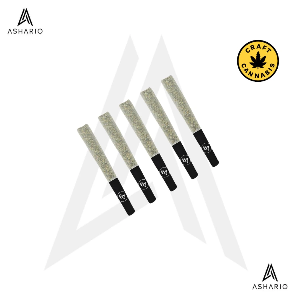 SIXTY SEVEN SINS - Fire Pack | 5x0.5g Main Image