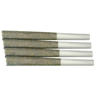 Queen Of Bud - Fit Queen Pre-Workout 4 x 0.5g Infused Pre-Rolls - Queen of Bud