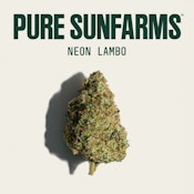 Neon Lambo 28g Dried Flower