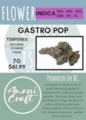 7G - AMANI CRAFT - GASTRO POP