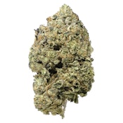 Pistol And Paris Pink Goo 3.5g