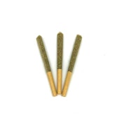 Gelato 3pk JOINTS .5g