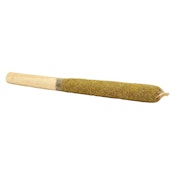 1x1g