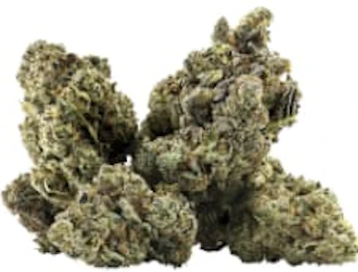 DEALR - DEALR -  Galactica OG 14g - Dried Flower