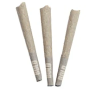 BOLD Growth - BOLD - Root Beer Float Pre-Rolls 3pk/ - Root Beer Float 3x0.5g Pre-Rolls