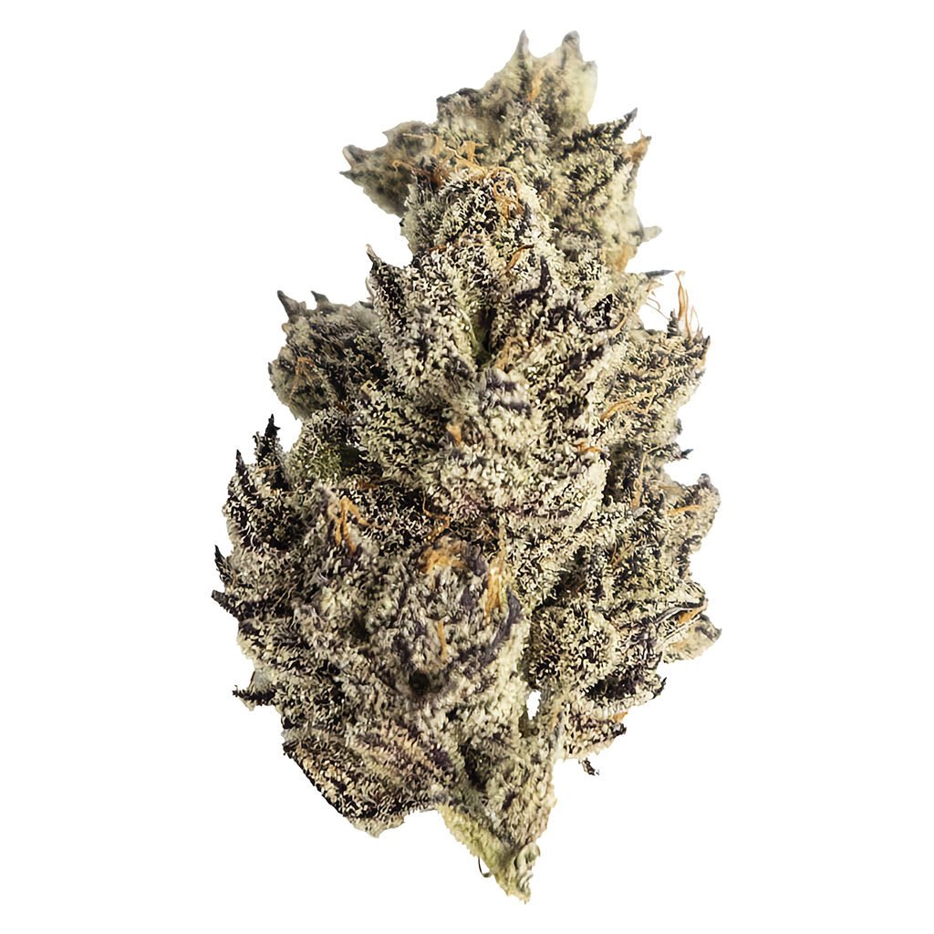 James' Celebration: Craft Small Batch Rotational 3.5g Dried Flower