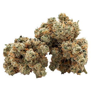 Cactus - Succulent Smalls 14g Dried Flower