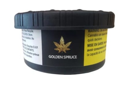 Golden Spruce - BLACK TUNA LTO - 14