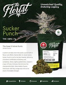 The Florist - Sucker Punch 7g Dried Flower