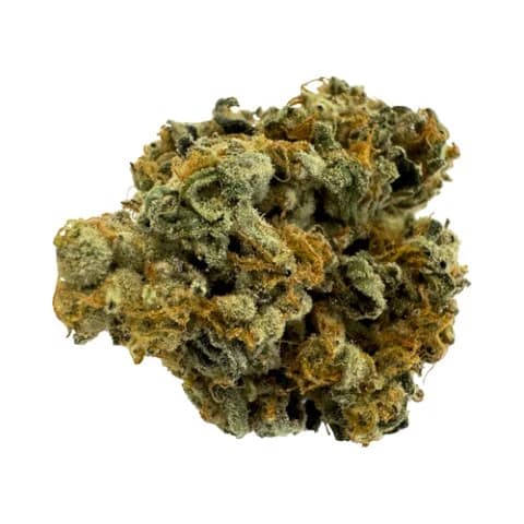 【ディグダ】OGKush 10 SweetSkunk 10 ディグダ】OGKush 10 SweetSkunk 10 ディグダ】OGKush 10