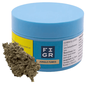 FIGR - Jungle Fumes 7g Dried Flower