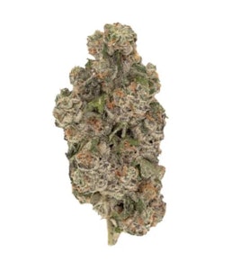 Pistol and Paris - OG RNTZ - 7