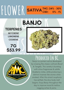 Rocky Mountain Cannabis - 7G - ROCKY MOUNTAIN CANNABIS - BANJO