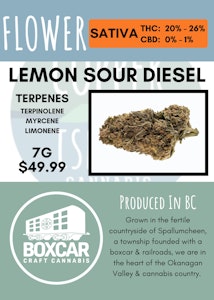 Boxcar Cannabis - 7G - BOXCAR CANNABIS - LEMON SOUR DIESEL (LSD)