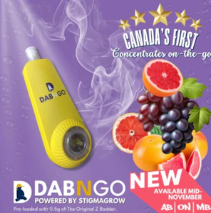 Dab Bods - The Original Z 0.5g Badder Disposable Dab N Go! Dab Bods