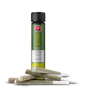 DEALR - DEALER GASTOPIA