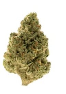 OMY - GRAVITY COOKIES | OMY | 28g Flower | Rest