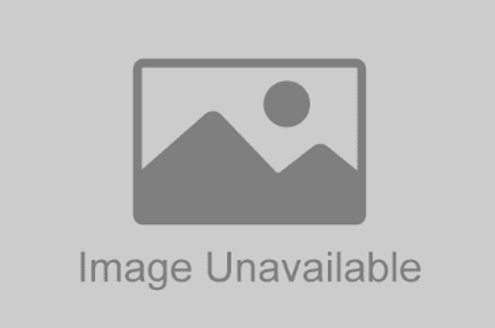 West Coast Gifts - Token Alien On Spaceship Ashtray