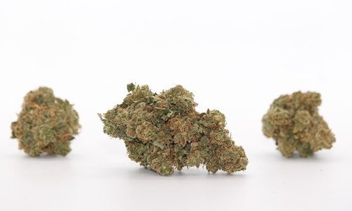 Virtue Cannabis - Galactic Glue 3.5g Dried Flower