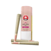 CBD RUNTZ PRE-ROLLS - 3