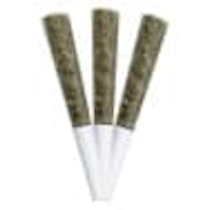 Simple Pleasures - PR- Simple Pleasures-INDICA - JAM SESSION PRE-ROLLS (SUNSET KUSH)-3x0.5g