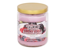 Smoke Odor 13oz Candle - Mulberry & Spice