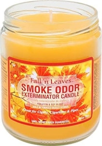 Smoke Odor  - Smoke Odor 13oz Candle - Fall N Leaves