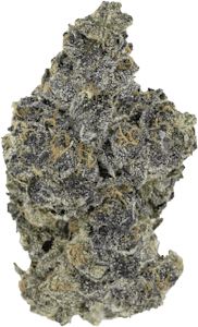 Pistol and Paris - Pistol and Paris - Blackout Bobby | 7g