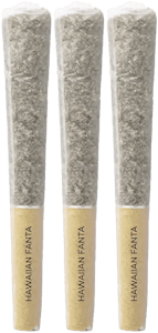 Pistol and Paris - Pistol and Paris - Hawaiian Fanta Pre-Rolls 3x0.5g | 1.5g