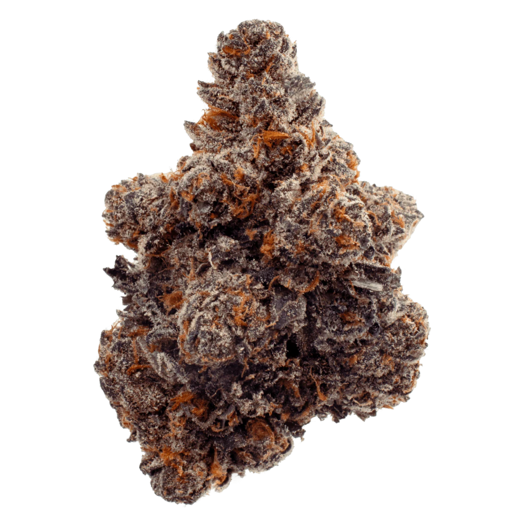 FOUR54 - Gastro Pop 3.5g Dried Flower Main Image