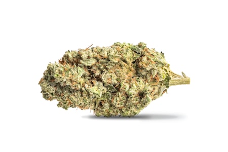 FRASER VALLEY - Black Sherb 14g Dried Flower