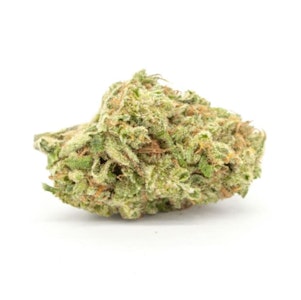 Carmel - Candy Gas Face 3.5g Dried Flower - Carmel