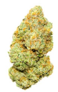 Palmetto - Palmetto - Sweet Deep Grapefruit 28g - Dried Flower