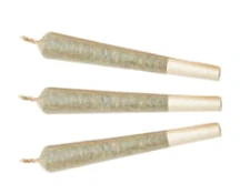 Watermelon G-Bear Distillate Infused Pre-Roll 1x1g Distillates