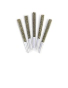 GASTOPIA - 5 X 0.5 GRAMS