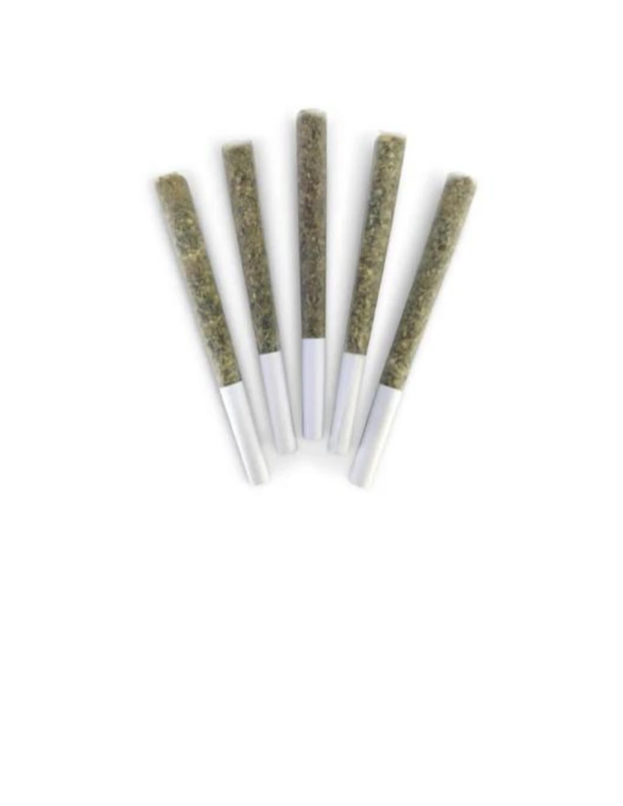 DEALR - GASTOPIA - 5 X 0.5 GRAMS Main Image
