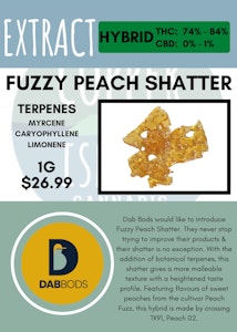 Dab Bods - DAB BODS - SHATTER 2.0 FUZZY PEACH SHATTER