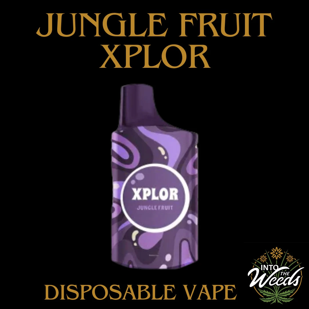 Xplor - Jungle Fruit  - 1g Main Image