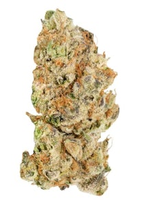 Broken Coast - Platinum Pave