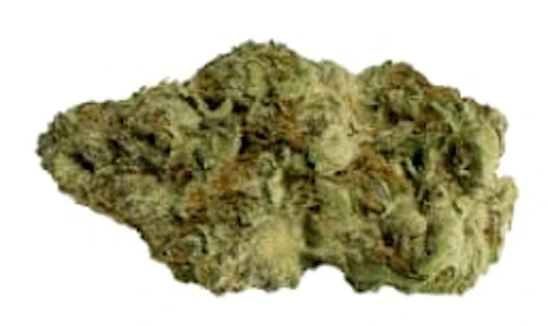 Fruit Drops - Fruit Drops - Forbidden Applez 3.5g Dried Flower / - Forbidden Applez 3.5g Dried Flower