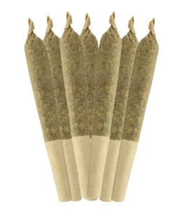 Sheeesh! - Double Bubbs - 0.5g x 7