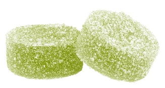 Kiwi Berry Burst | 2-pack