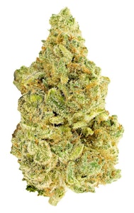 Versus - White Widow | 28g