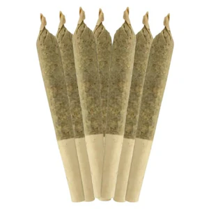 Sheeesh! - DOUBLE BUBBS PRE-ROLLS - 3.5